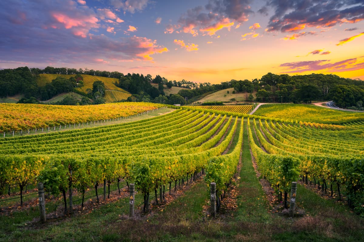 Exclusive Val d’Orcia tour: a journey through Tuscany’s living masterpiece
